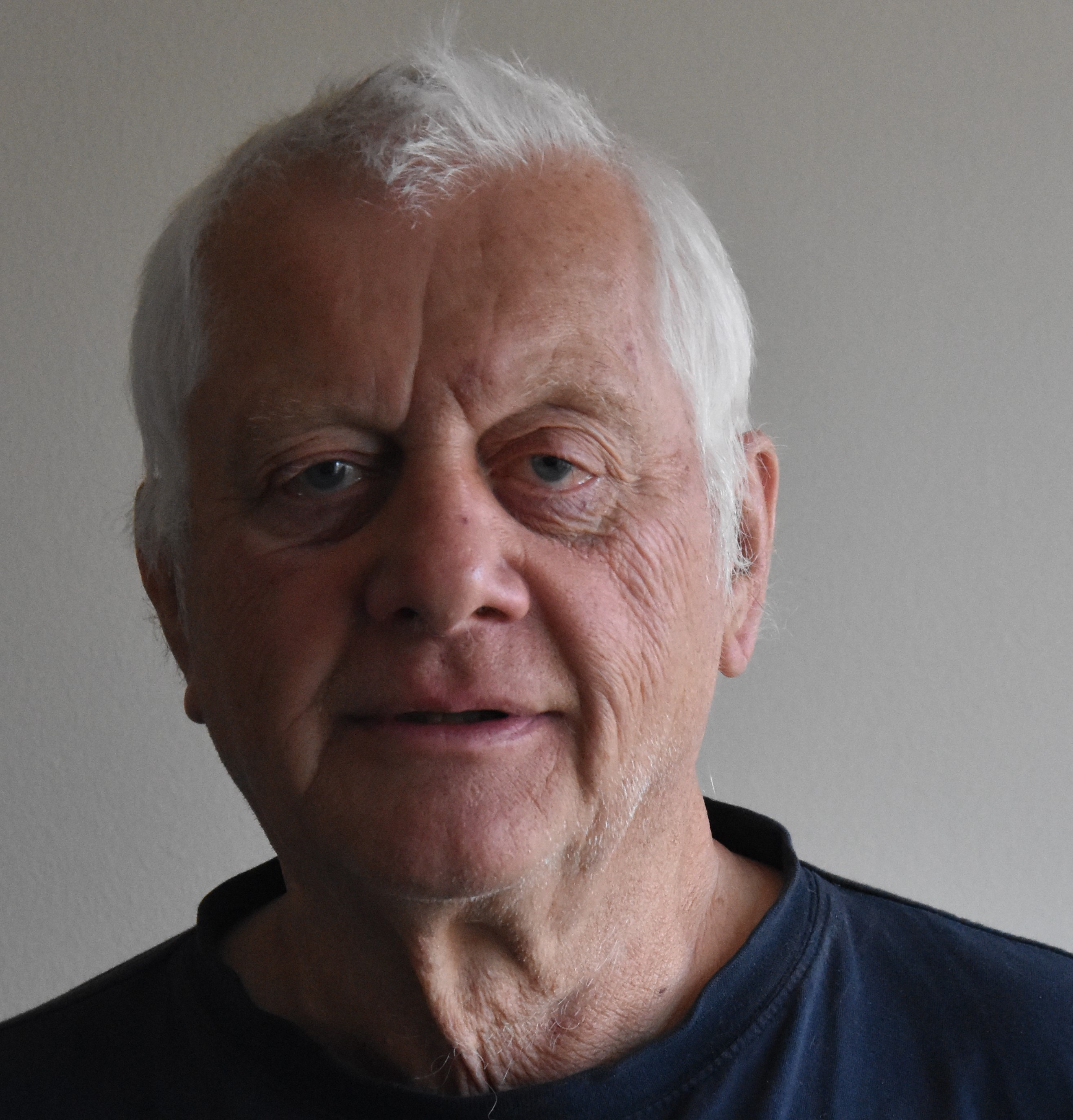 Dag Grønvold style=