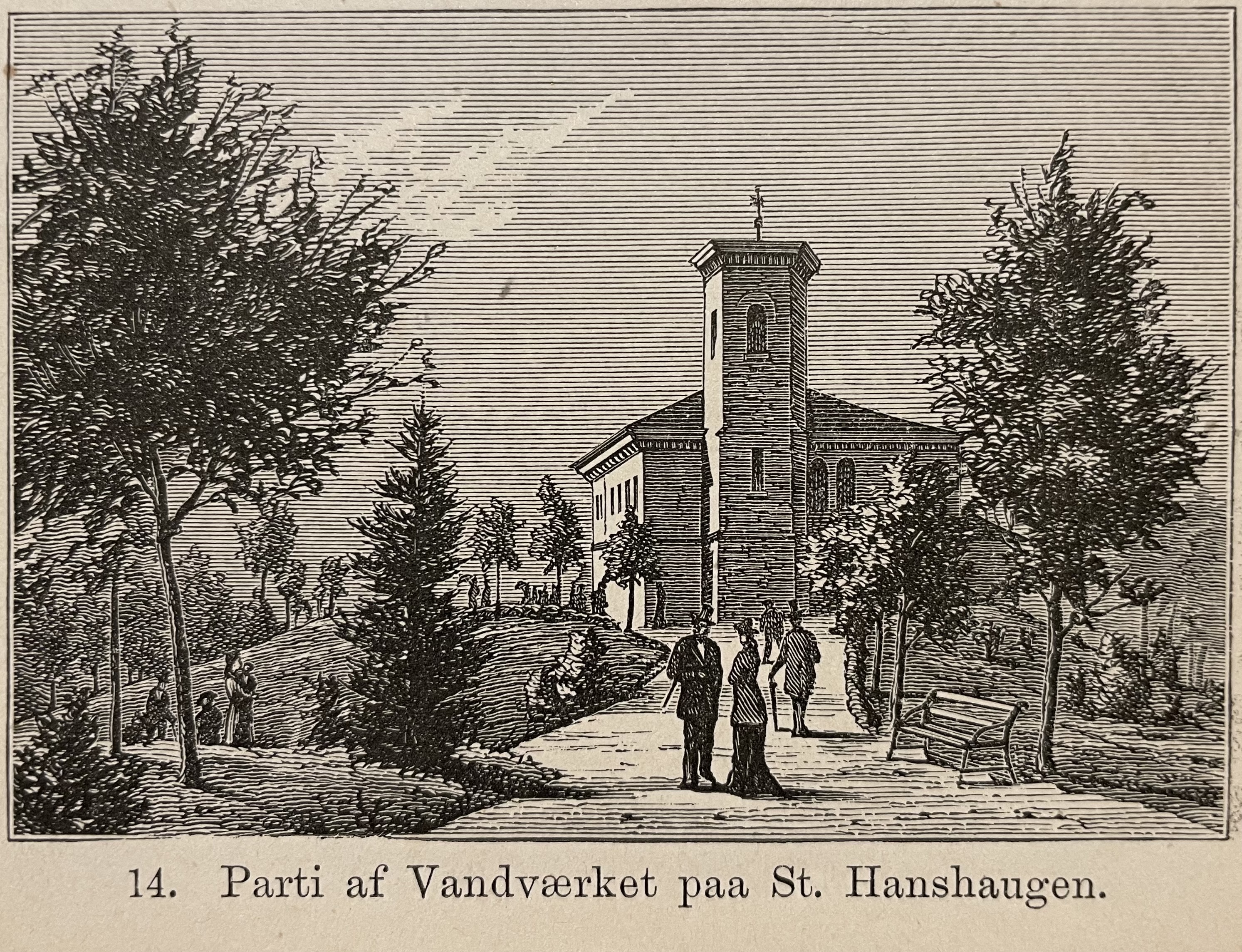 Artikkelbilde til artikkelen Sommervandring på St. Hanshaugen